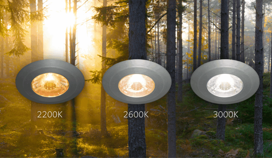 Dim2Warm-skog